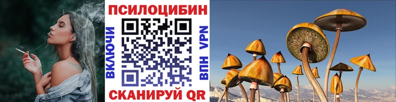 Галлюциногенные грибы Psilocybine cubensis  Купить  Апатиты 